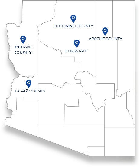 Local authority
